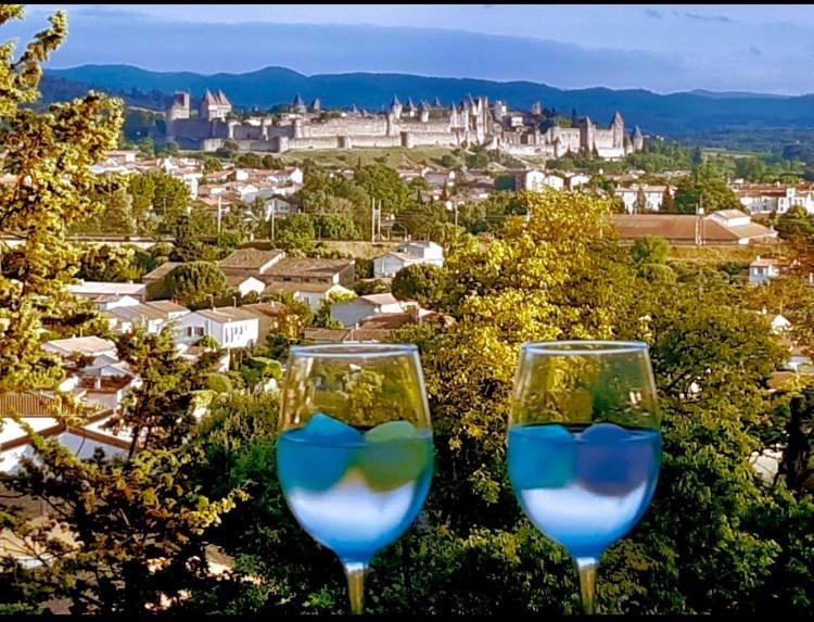 Chambre D'Hote Vue Imprenable Sur Cite - Villa Rose Carcassonne Buitenkant foto